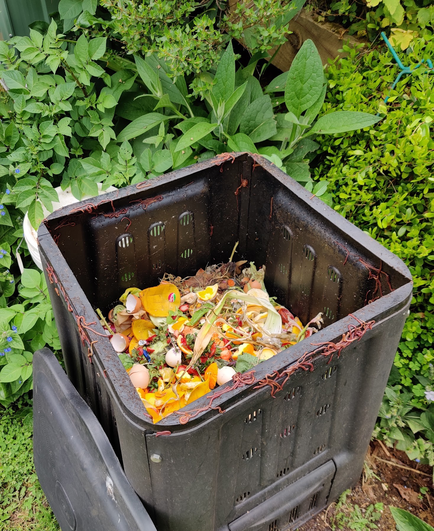 Compost.